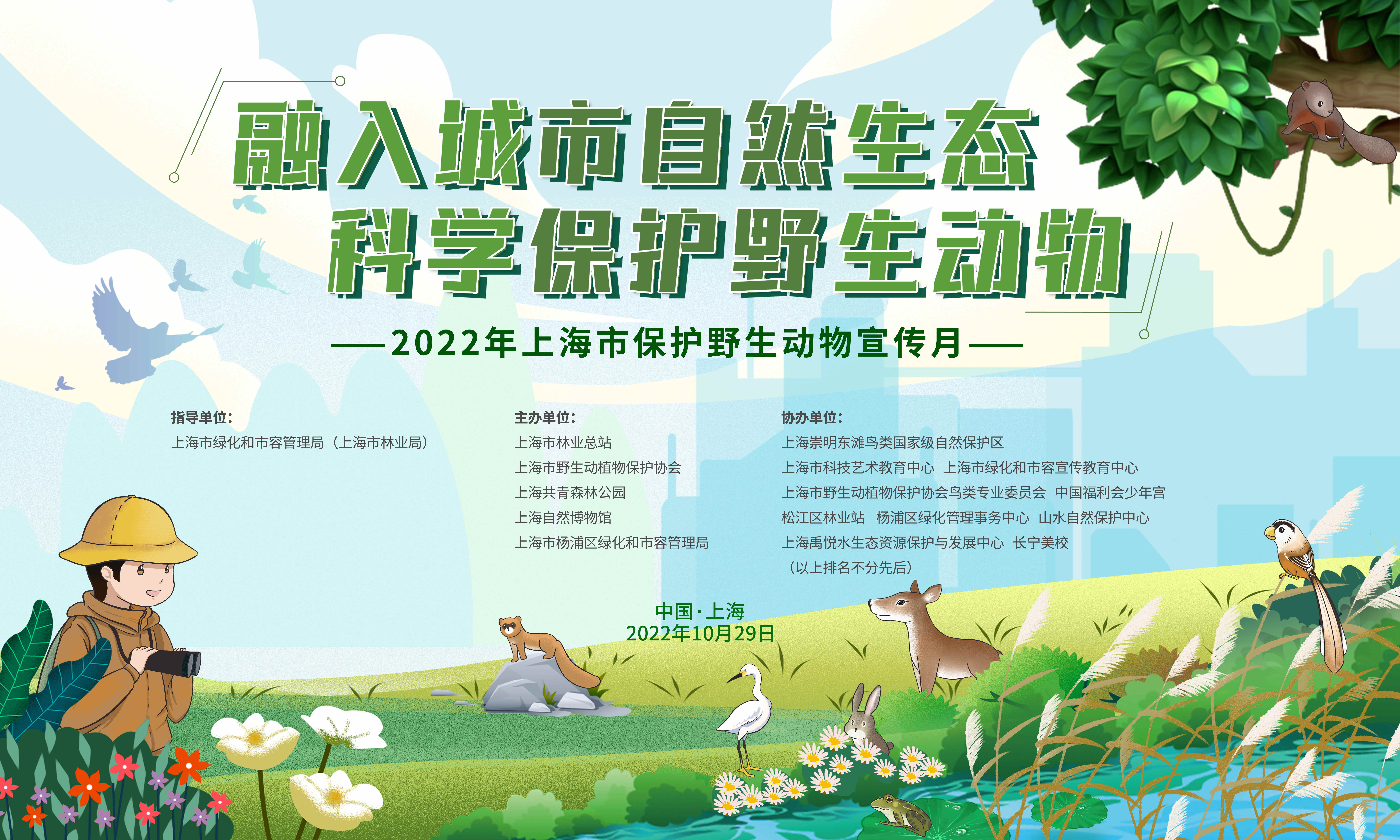 算法辅助的野生动物保护方案