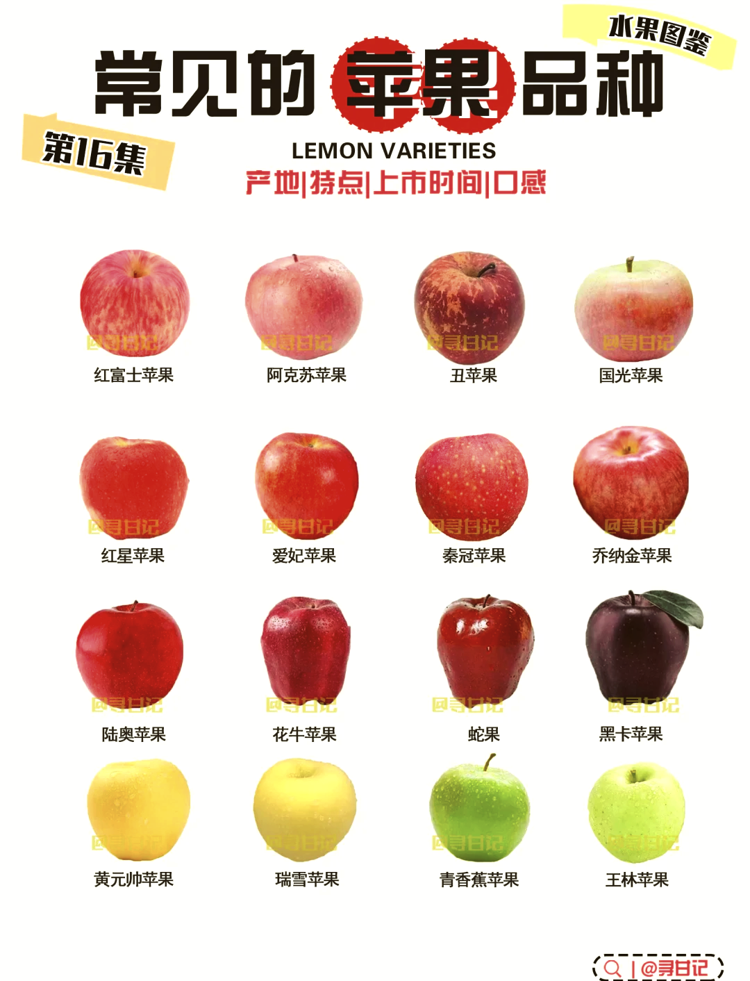 怎么区别苹果型号 怎么分辨苹果的型号 