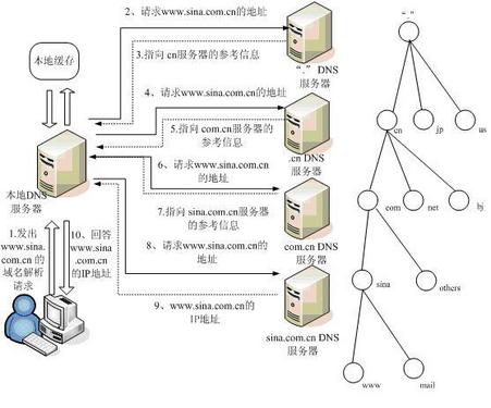 lsp和dns区别 dns lsp协议异常 