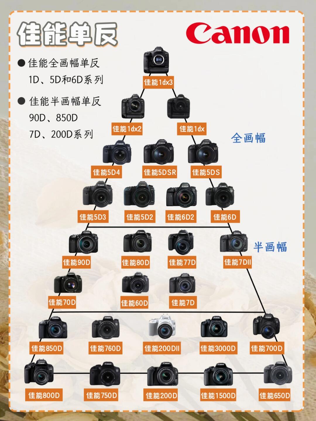 单反佳能和尼康区别 单反相机佳能与尼康哪个更好 