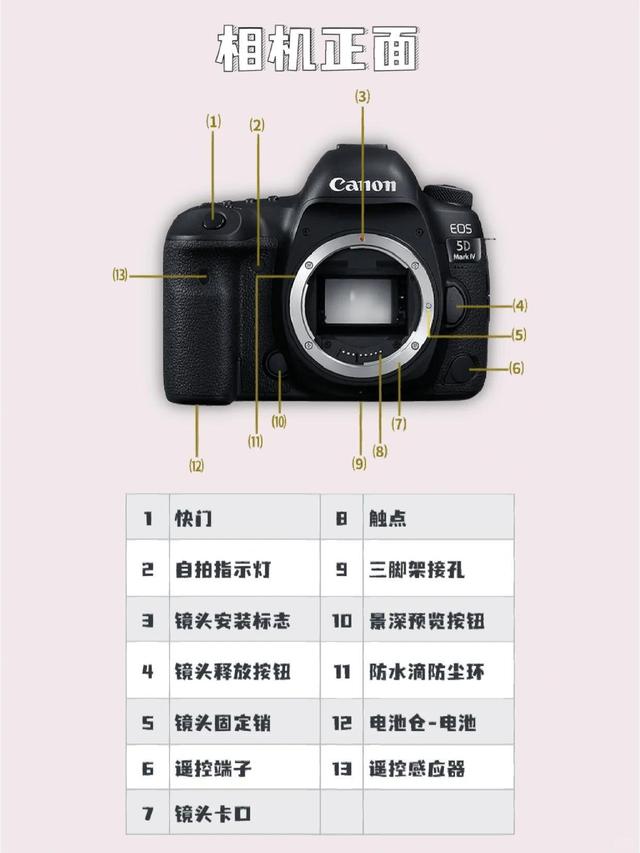 5d2与5d3区别 5d2比5d3差多少 